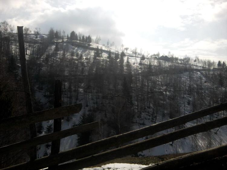 Teren intravilan in zona Magura Bran