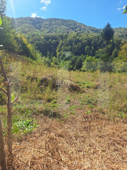 Teren de vanzare, 4847 mp, cabana, zona Nadrag - 4