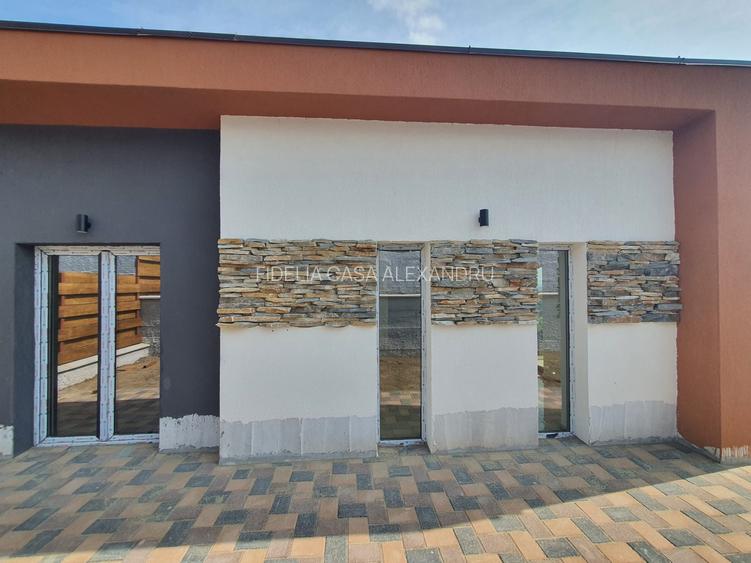 Vila de vanzare Valea Adanca