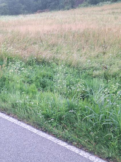 Teren de vanzare, 5800 mp, zona Jena - 3