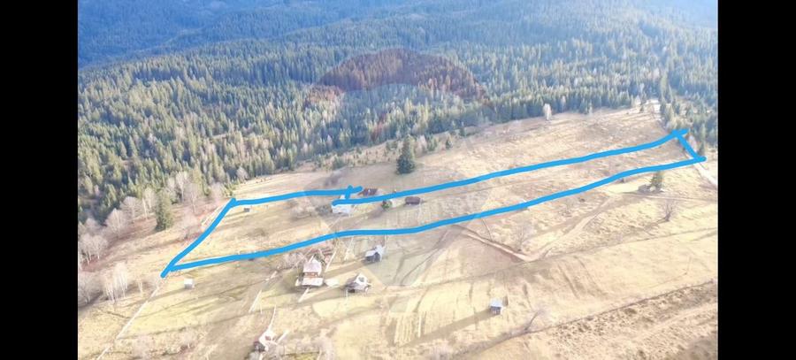Teren INTRAVILAN 23.238m.p. Dorna-Arini / Cozănești