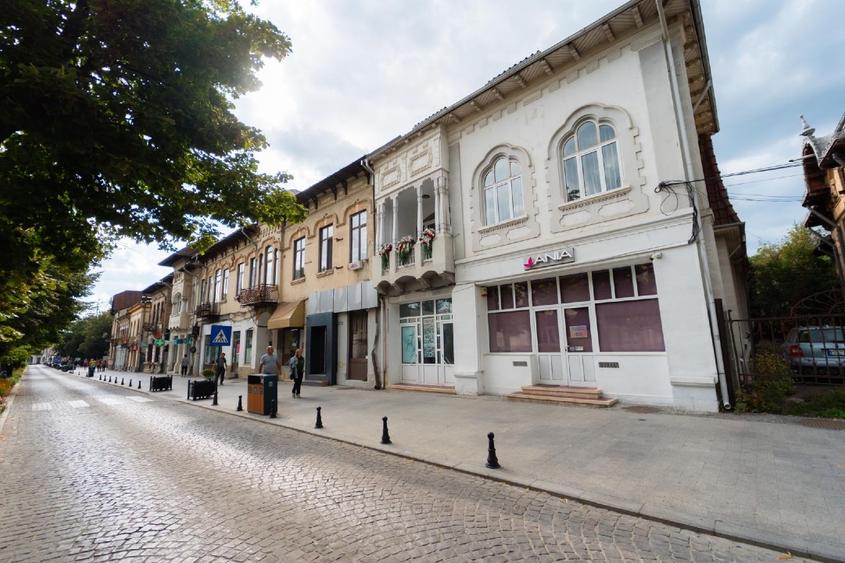 Proprietar vand vila ultracentrala in stil neoromanesc