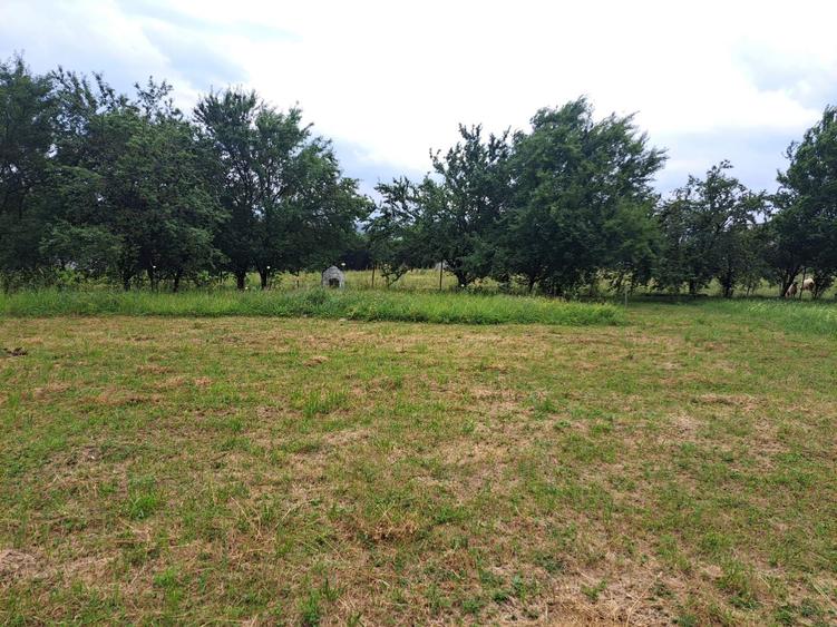 Teren intravilat| Zona rezidentila 1156 mp-TURNISOR