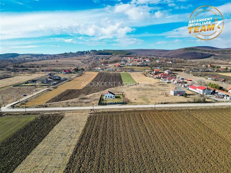 Proprietate remarcabila: 32.000mp teren, acces direct DJ112,Ilieni,Covasna - 9