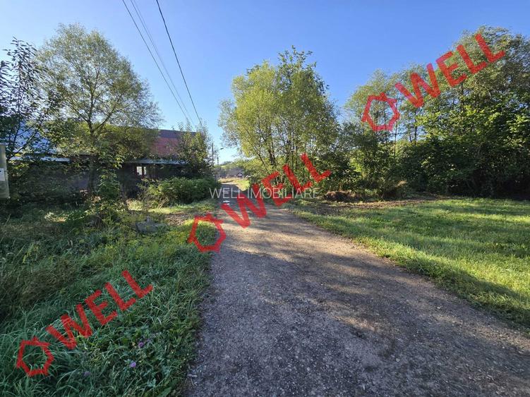 De vânzare teren extravilan în Întorsura Buzăului, Brădet! - 6