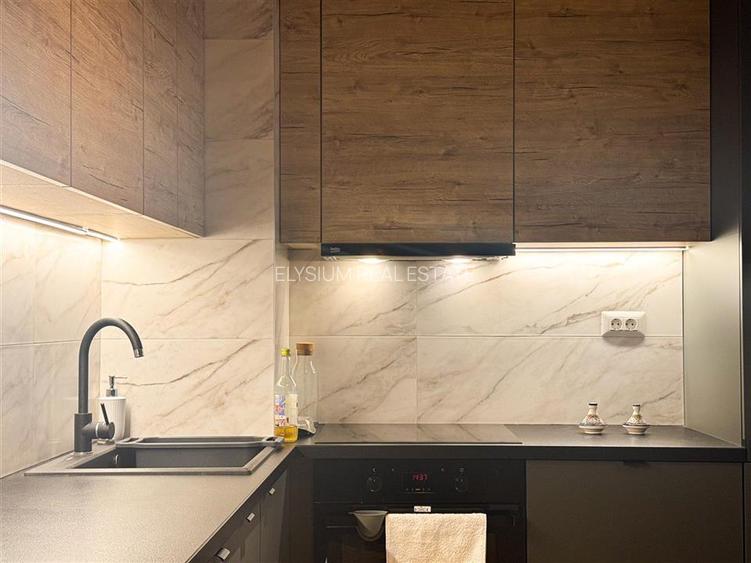 Apartament 2 camere de inchiriat Aviatiei - 16