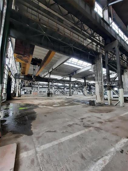 Spatiu Industrial - 5000 mp - Productie - Industrie Grea - 6