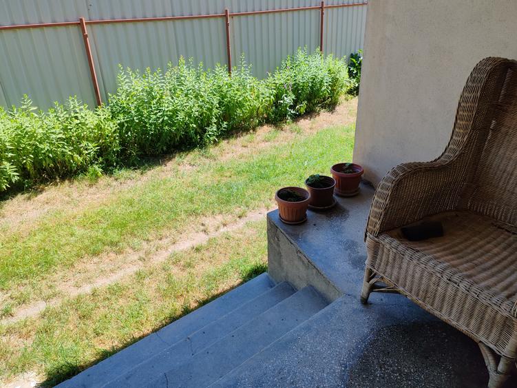 Casa 3 camere libera la vanzare TARLUNGENI
