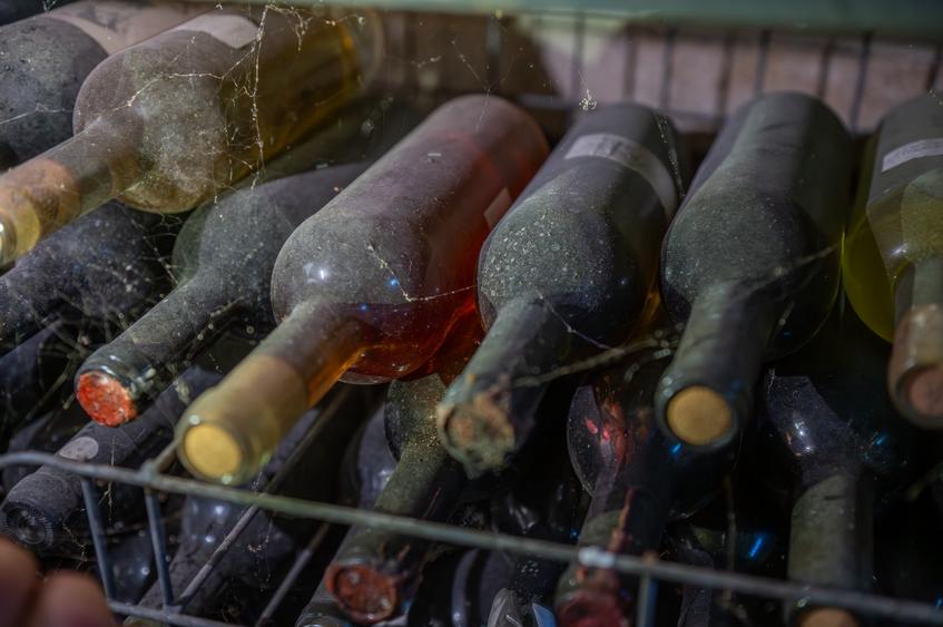 CRAMĂ PREMIUM DE VÂNZARE -60 HA- CONAC ISTORIC- PODGORIA DRĂGĂȘANI