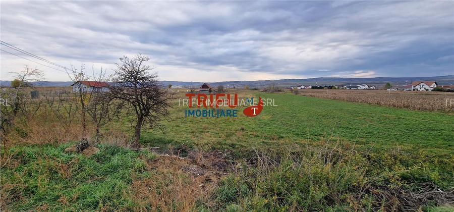 Teren 2160mp în  Partoș - 9