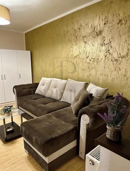 LIPOVEI - APARTAMENT 1 CAMERA - mobilat, utilat, renovat complet