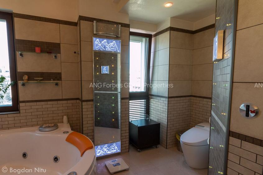 Penthouse de Colecție în Nordul Capitalei  cu Vedere Directă către Parc - 91