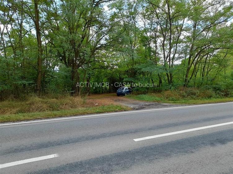 Resita,5561 mp.Teren INTRAVILAN Km.8,la Sosea 10 Euro mp.. - 3