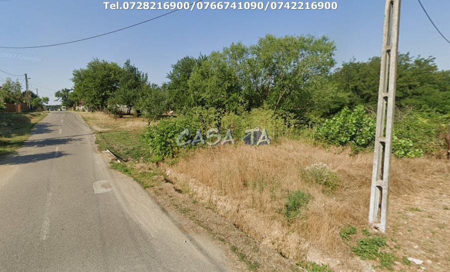 Teren Intravilan (5000 mp),situat in Curtisoara (Gorj)