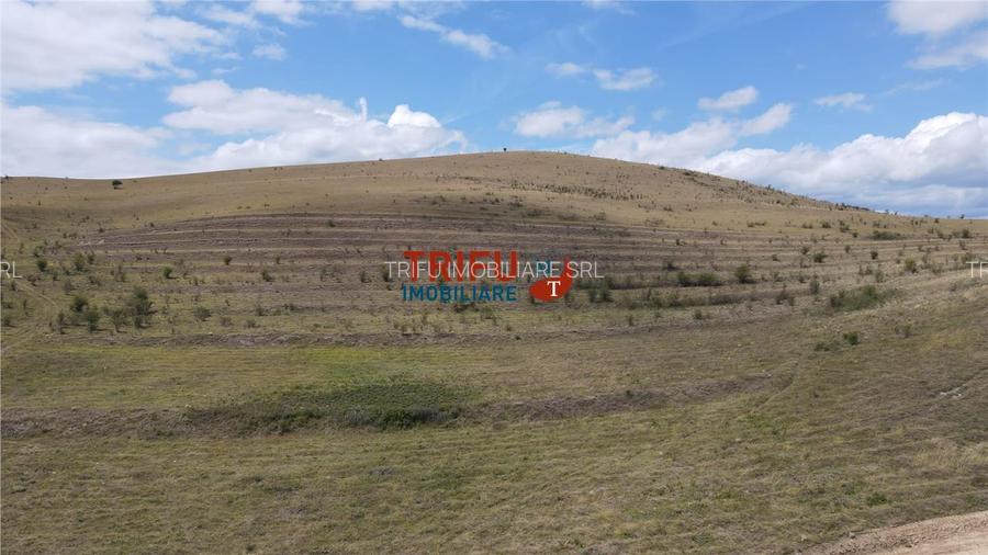 Teren pentru relaxare și agricultură în Barabant, Alba Iulia – Ex - 14