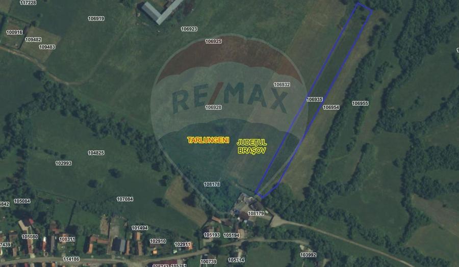 Teren 5.800 mp Purcareni curent, gaz, apă / Strada 30 decembrie
