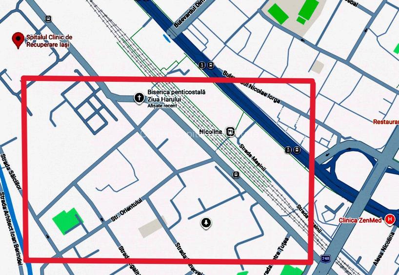Vanzare Spatiu Comercial Nicolina - 46,59mp - 2