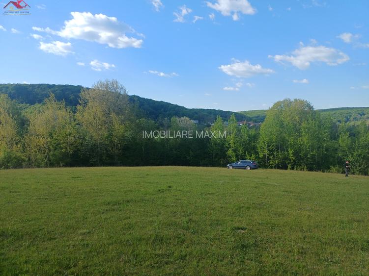 Teren extravilan Bradu - zona cu panorama superba - 3