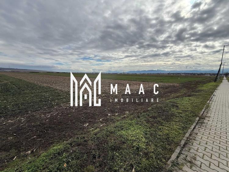 Teren intravilan | 9600 mp | Șură Mică | Utilități | Drum Asfaltat