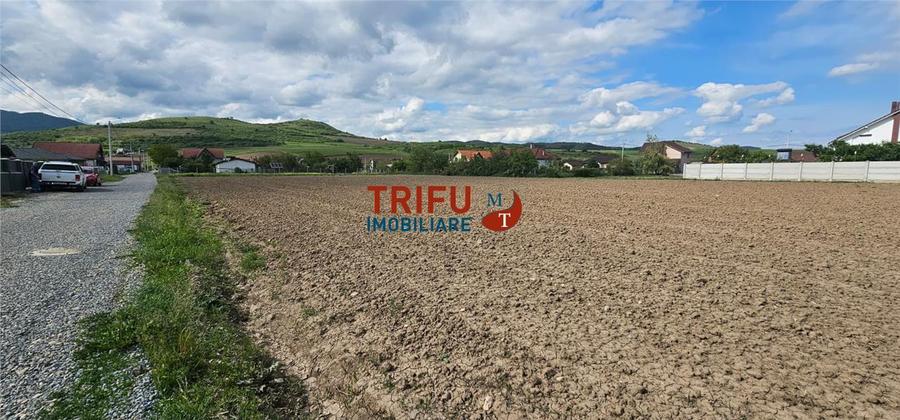 Teren de vanzare Ighiu !