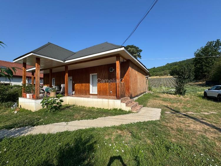 Casă renovată de la structură + 6.400 mp cu plantație de lavandă și fotovoltaic  - 2