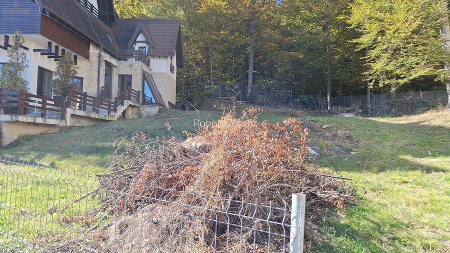 Teren Sinaia in suprafata de 532 m2 - 5