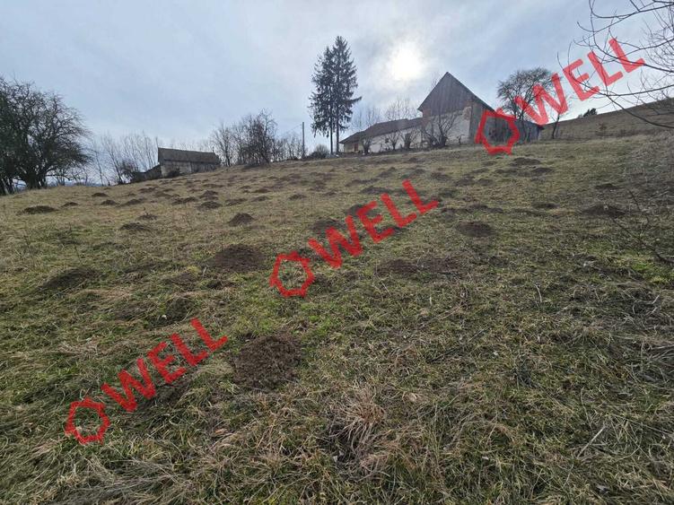 Teren extravilan de vânzare în Sărămaș, pe punctul de numit ,,PARAIE,,