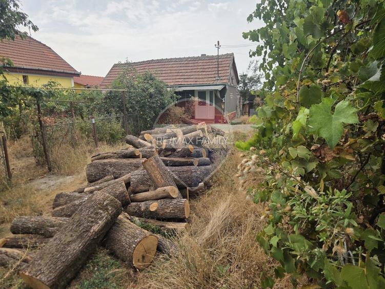 Casă cu gradina mare in Madaras - 8