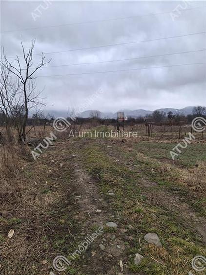 Teren intravilan de 2679 mp in Porumbacu de Sus din Sibiu - 3