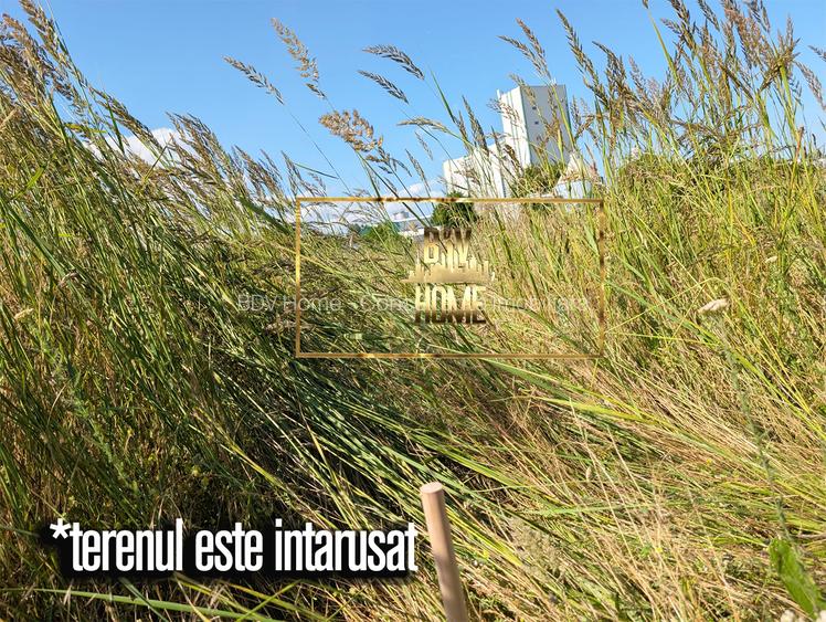 253 mp in spatele Argus Zona Industriala, VANZARE - 2