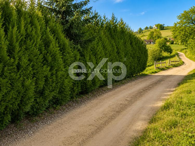 PANORAMA POIANA MĂRULUI | Terenuri cu potențial de dezvoltare - 4