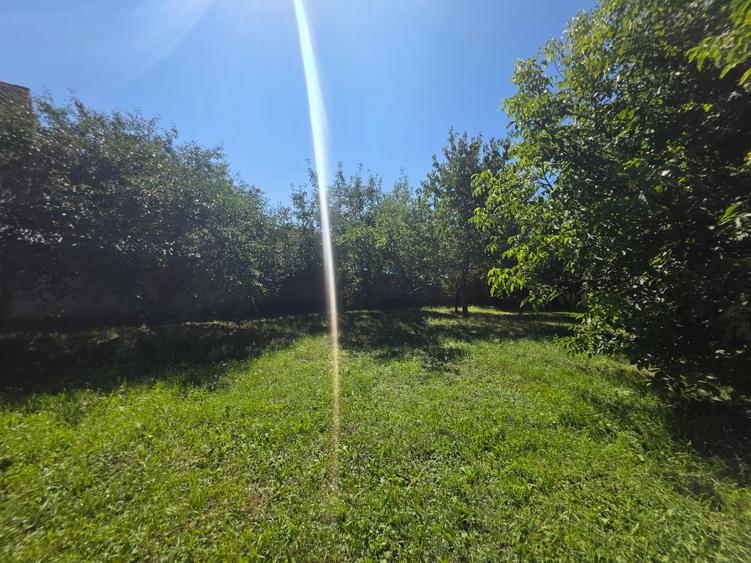 Vand casa saseasca 4 camere cu teren generos 2500 mp