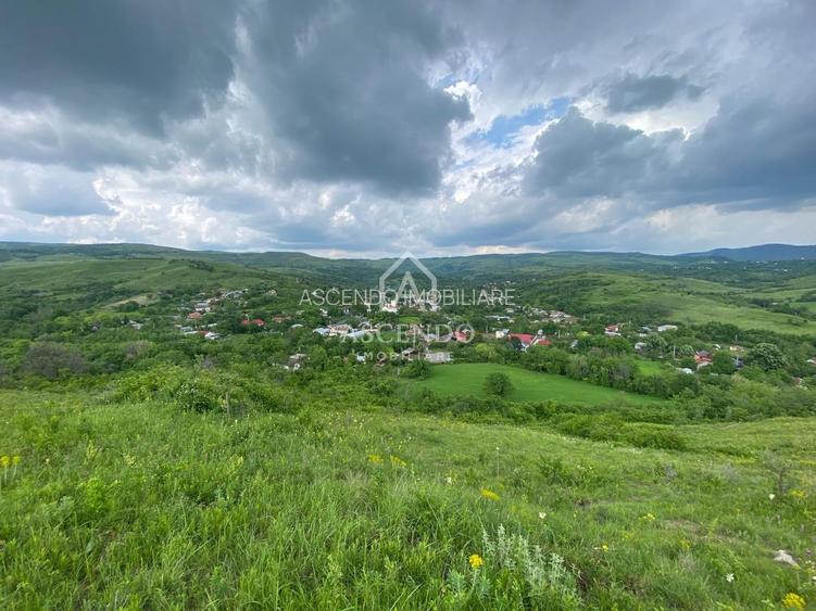Domeniu 15.900 mp în Fințești | Casă + Investiție Dealu Mare - 19
