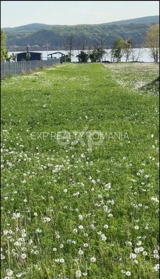 Teren 2100 mp cu ieșire la lac – Budeasa Mare - 4