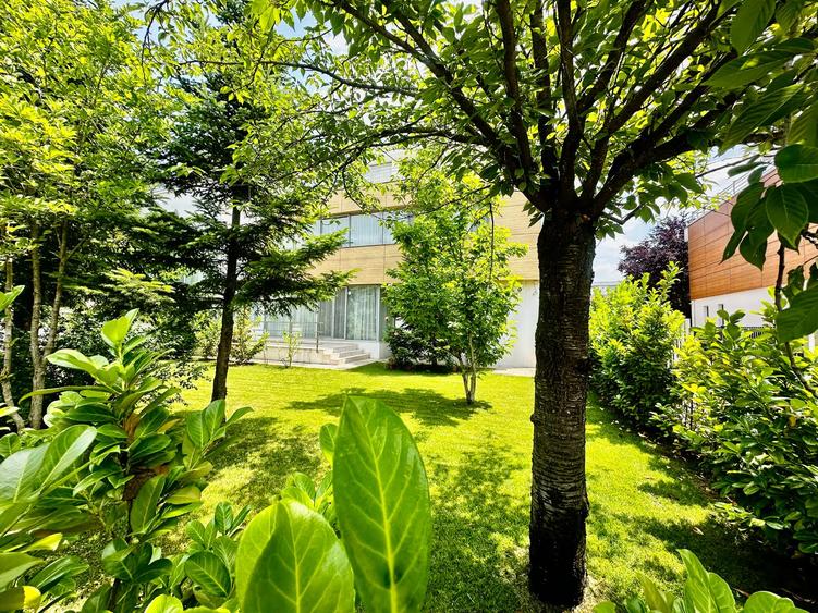Vila moderna de vanzare 6 camere Iancu Nicolae - Mark Twain, Bucuresti 450 mp