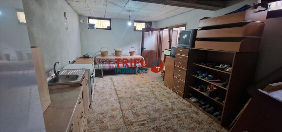 Casa 5 camere de vanzare Alba Micesti
