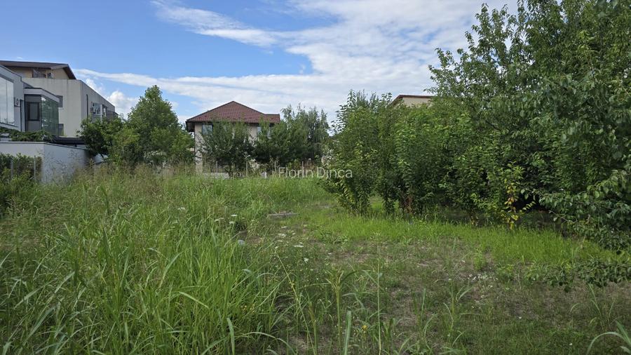 690 mp Otopeni Str. George Enescu  28C - Racordat la apa si canalizare - 3