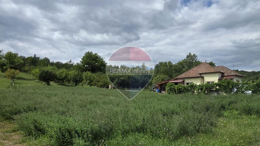Casă cu teren generos de 2.800 mp la 38 km în satul Elciu - 13