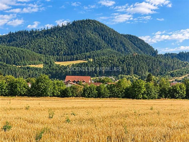 Teren intravilan, regim inaltime P+2E+M, vedere catre munti, Sacele, Brasov