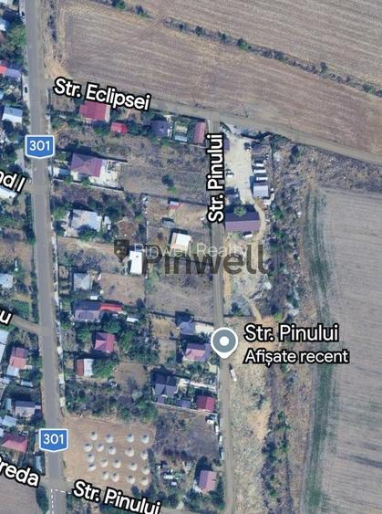 Teren Intravilan 1000 mp Tanganu, Cernica, zona case noi - Strada Pinului - 4