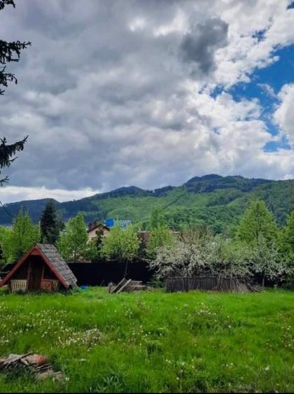 Teren intravilan de vânzare 800mp Darste Brașov