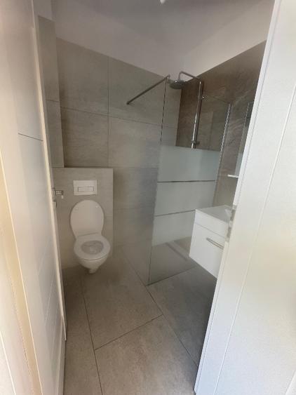 Proprietar închiriez casă individuală