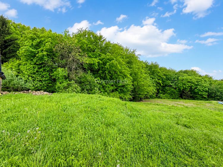 Teren intravilan de vanzare, 3900 mp , front 36 ml,  Faget - 3