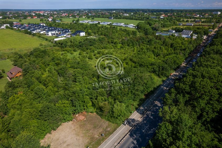 Teren 5.515 mp lângă Lidl Snagov – Ieșire la Lacul Snagov - 8