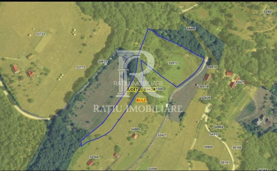 Teren 10.900mp | Panoramă în Apuseni | Remeți -Ideal pentru Investitii - 3