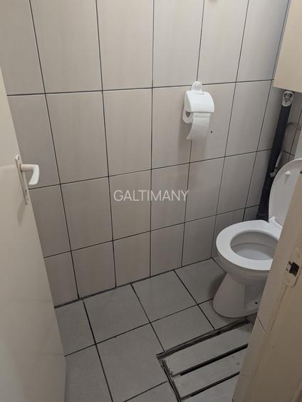 Casă individuală de închiriat – Herăstrău | 4 camere | Curte proprie | Parcare - 16