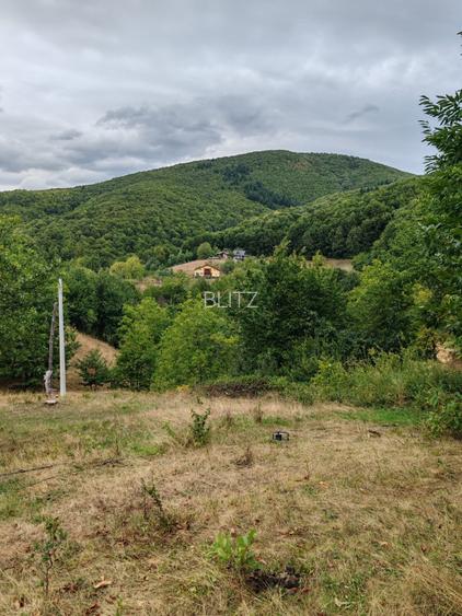Teren de vanzare, 64 ari, zona Ulmoasa - 3