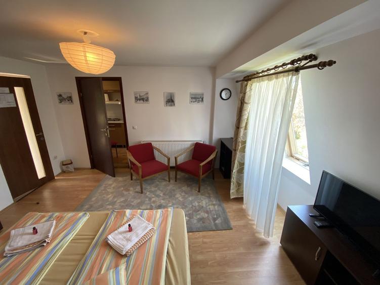 Apartament cu o cameră/ 30 mp/ finisat modern/ cartier Mănăștur