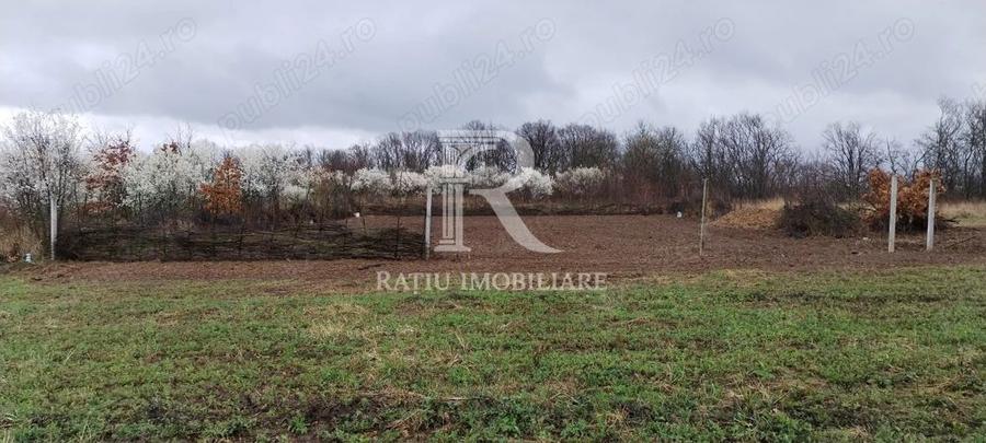 Teren intravilan 888 mp | Front 24 ml | Paleu