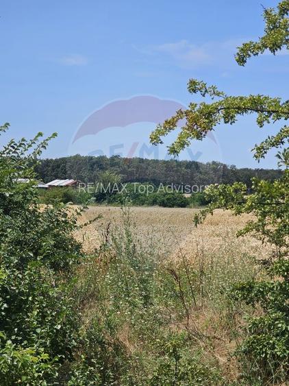 Vanzare Teren Intravilan Buftea, 750mp, str. Ulmului, Pista Biciclete - 5